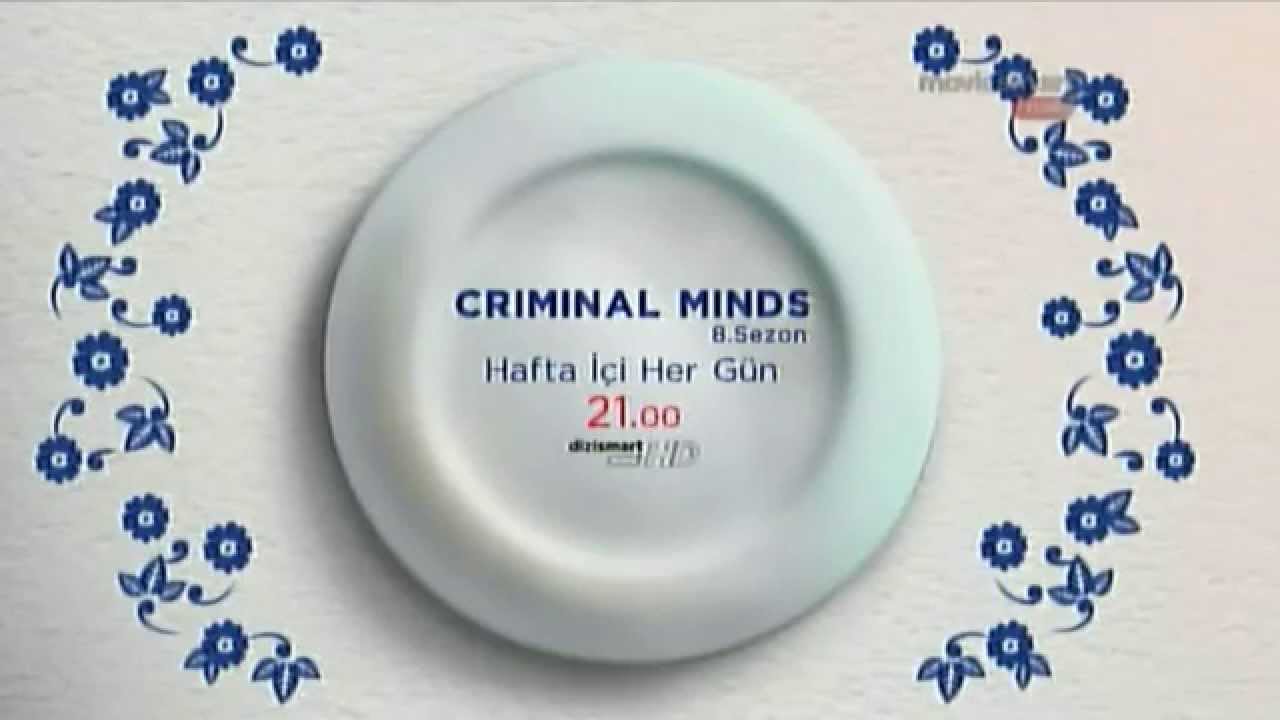 Dizi Smart Platin HD Ident + Anadolu Sigorta Bir Usta Bin Usta Reklamı