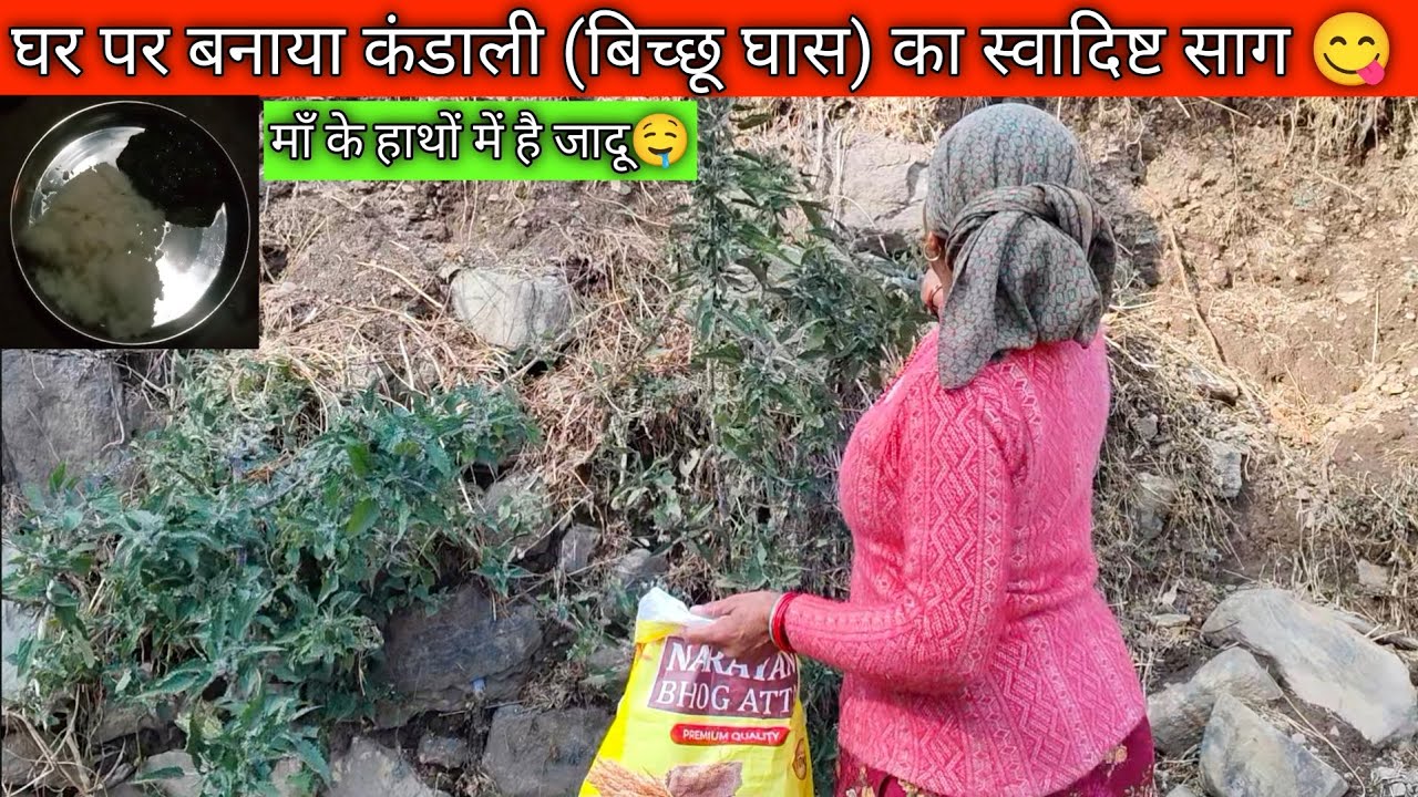 Kandali/Bichhu Ghas Ek Special Pahadi Dish🤤|| Mummy Ne Banaya Tasty Saag || Maza Aa Gya || MS Vlogs 