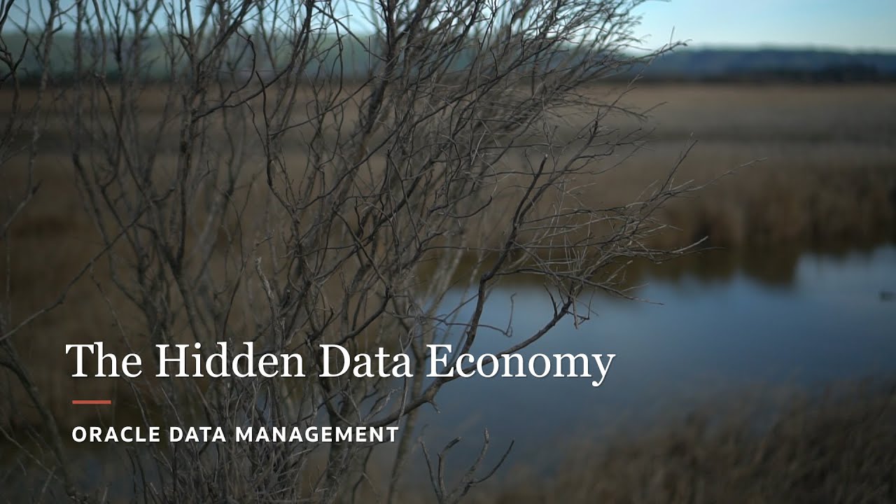 The Hidden Data Economy