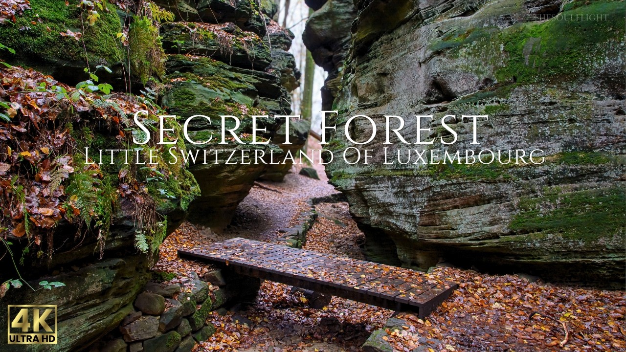 Luxembourg's Little Switzerland Hidden Trail  | Mullerthal Forest Cinematic