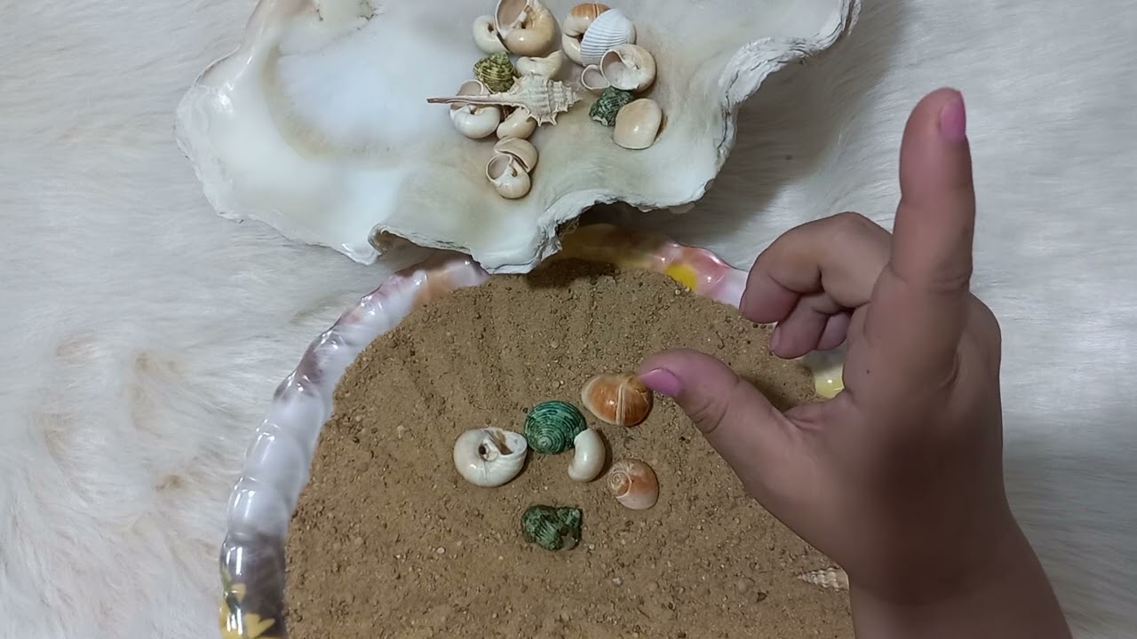 القراءة بالرمال والودع لبرج الثور 🦬بتاريخ ٢٠٢٤/٦/٢١ اهداء لاصحاب البرج
