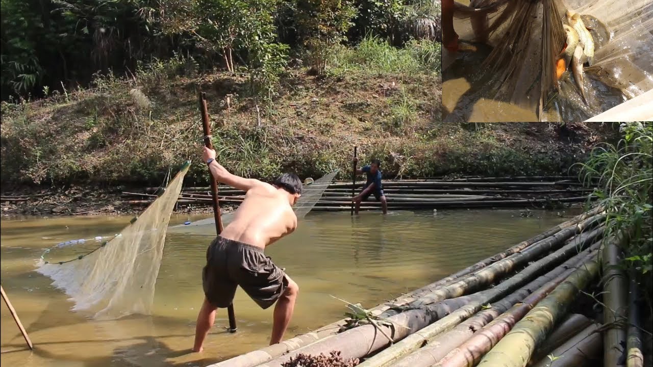 A Chinh chúc tết nhà bố vợ - Tháo ao kéo lưới toàn cá chép to