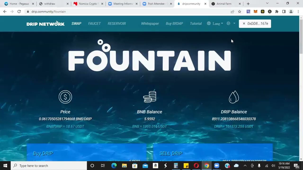 Drip Animal Farm Update + Airdrop For The Team!! 🐷💧