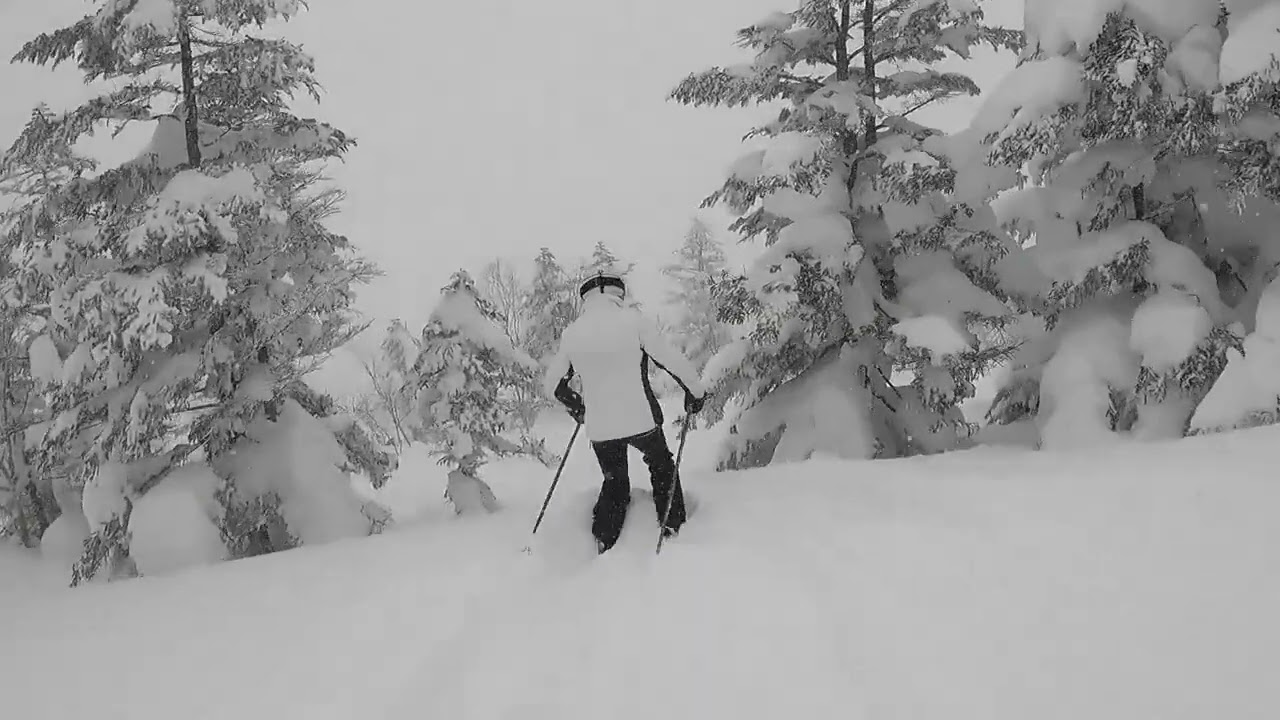 Shiga Kogen 2025