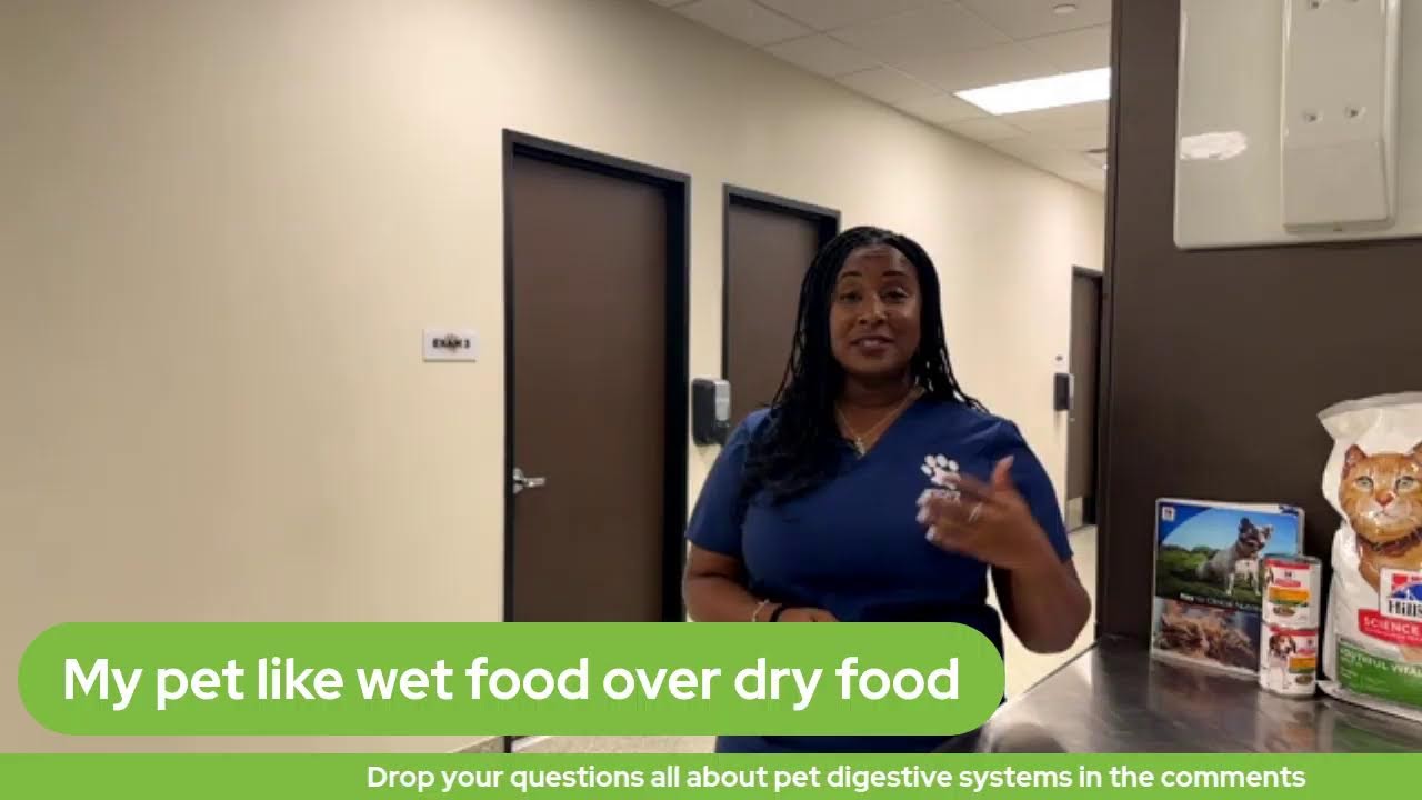 The Pet Pawcast - Pet Digestive System