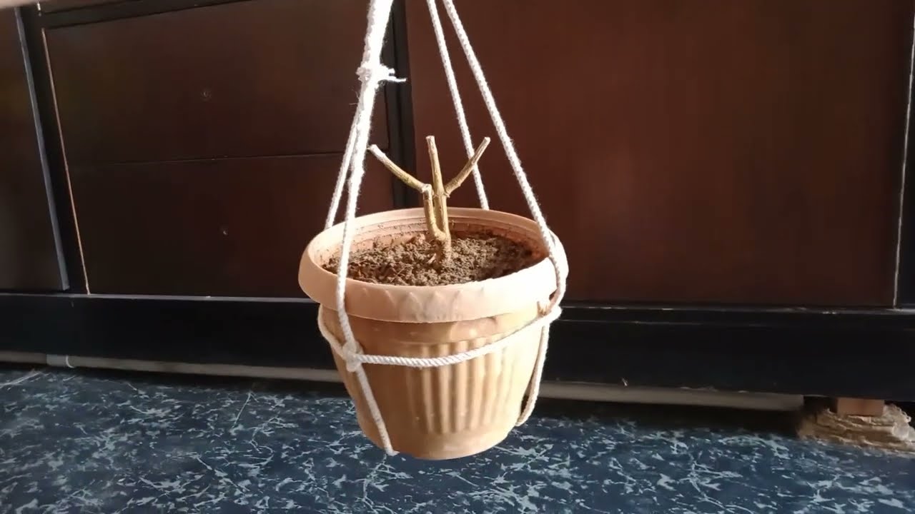 DIY Hanging planter quick and easy- hanging pot with rope knot