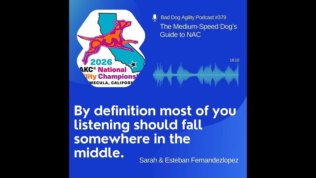 379: The Medium-Speed Dog’s Guide to NAC
