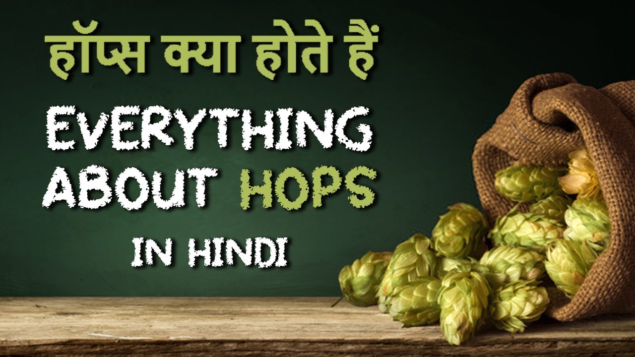 What are Hops? Types of Hops | BEST STUDY ON BEER HOPS IN HINDI | Homebrew India