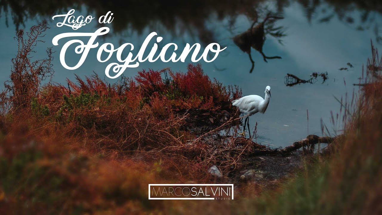 Lago di Fogliano - Canon 5D mk III RAW video