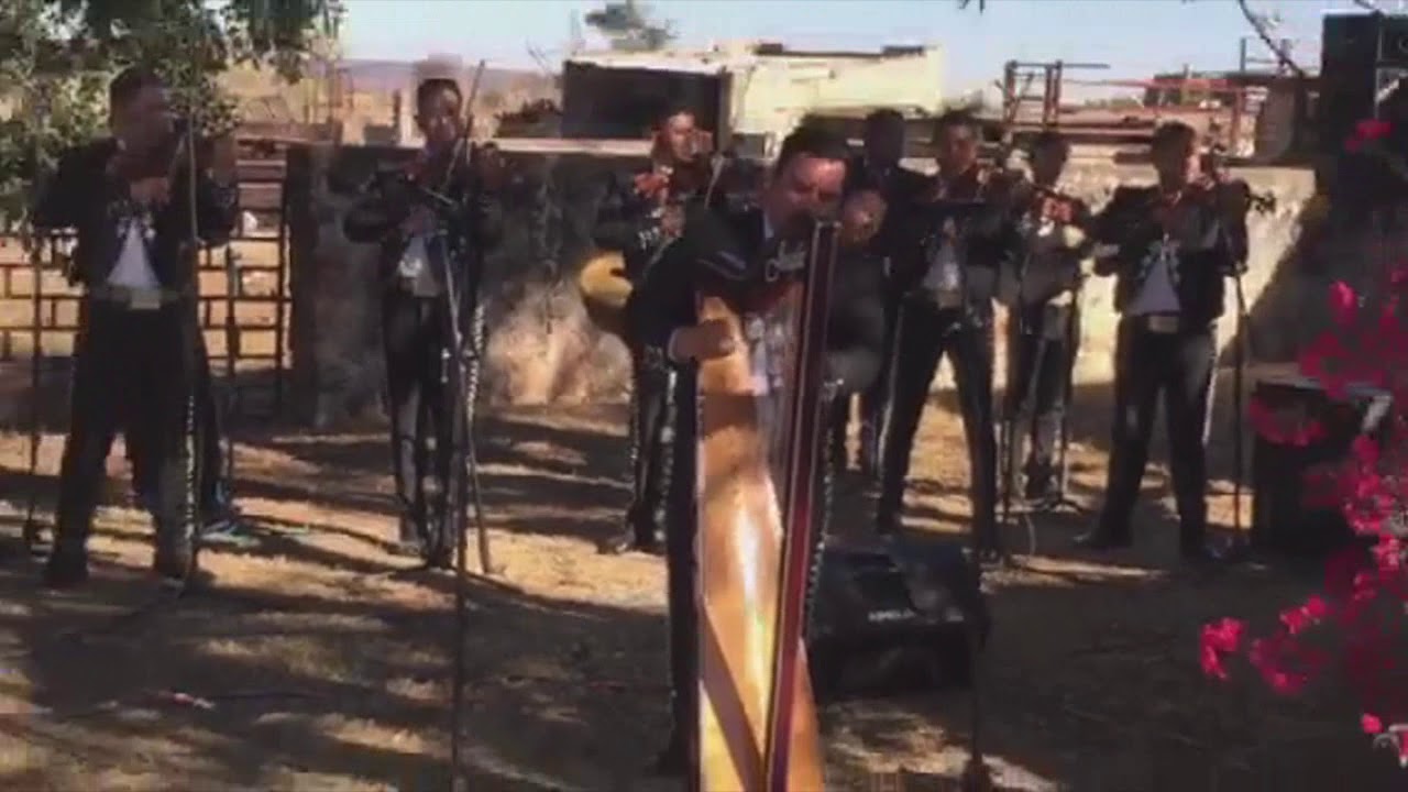 Mariachi Mexico Lindo   Pajaro Chogüi