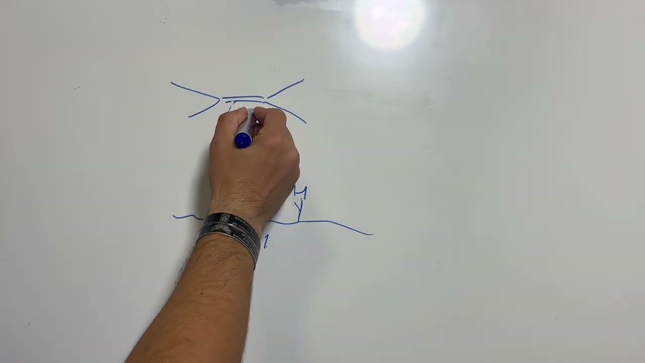 Hydrogenation of Alkenes | Alkene Reactions [Ep. 6]