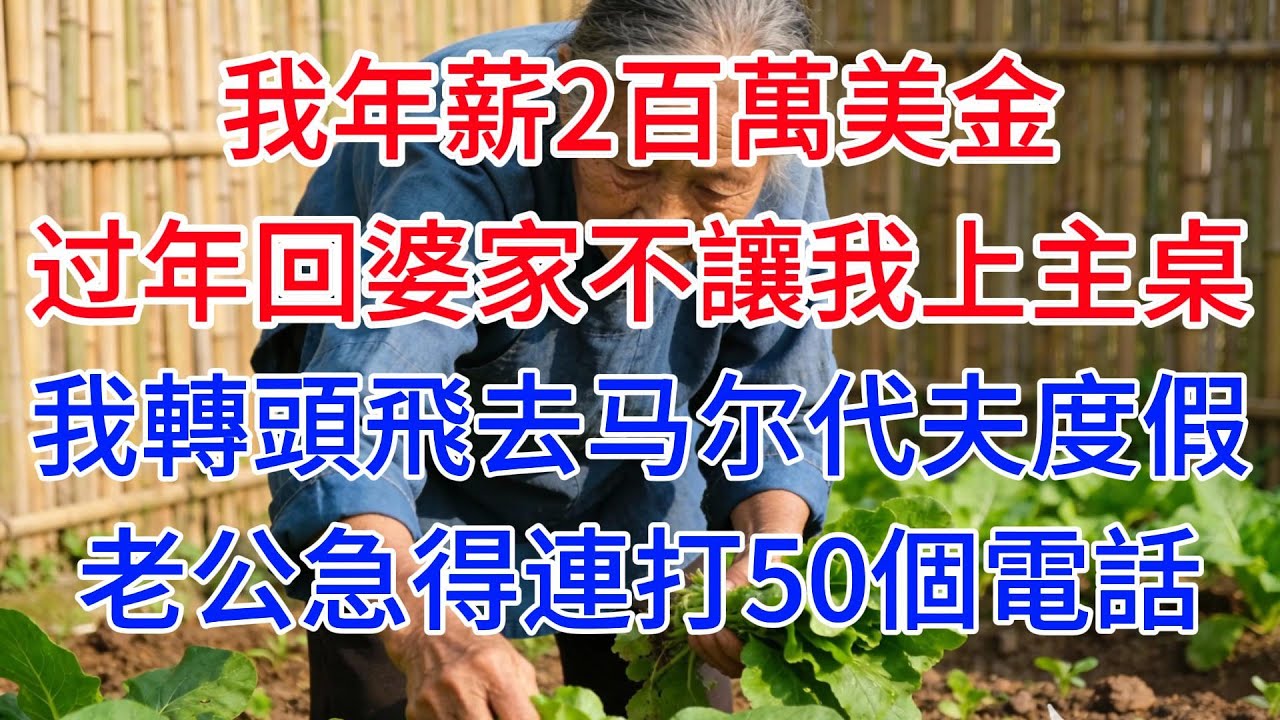 我年薪2百萬美金，过年回婆家卻不讓我上主桌，我轉頭飛去马尔代夫度假，老公急得連打50個電話#情感故事 #故事頻道