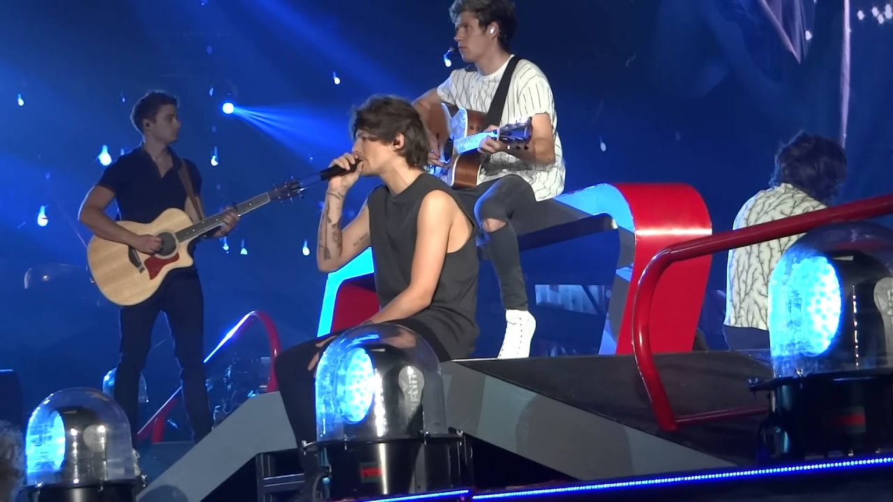 One Direction- Little Things- Detroit 8-16-14