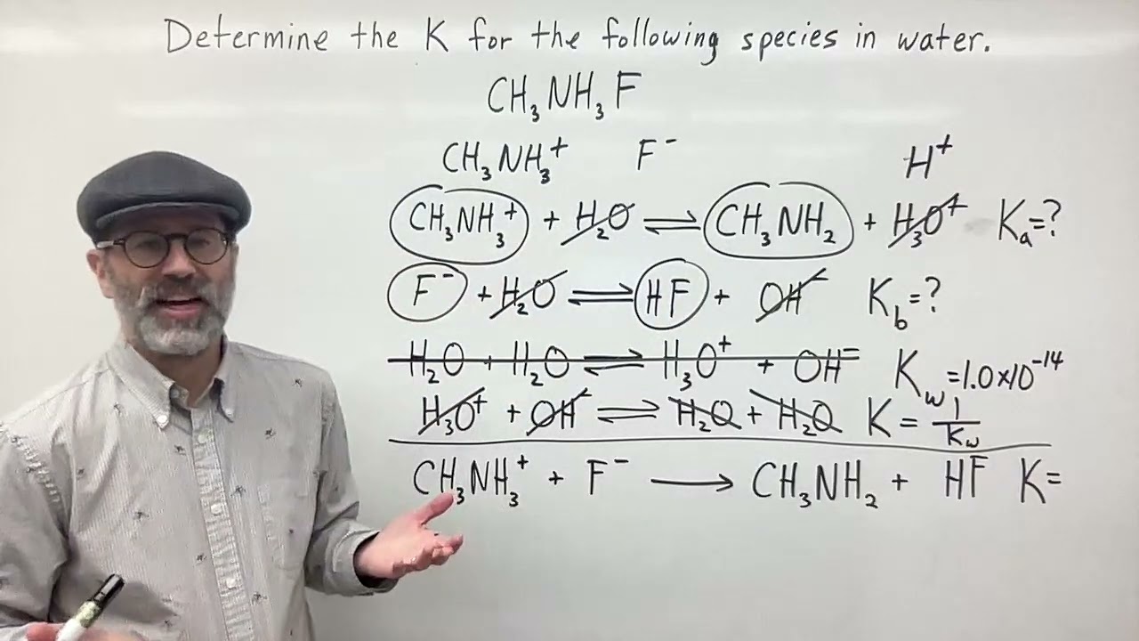 Determine the K for the Following Species in Water:  CH3NH3F (methylammonium Fluoride)