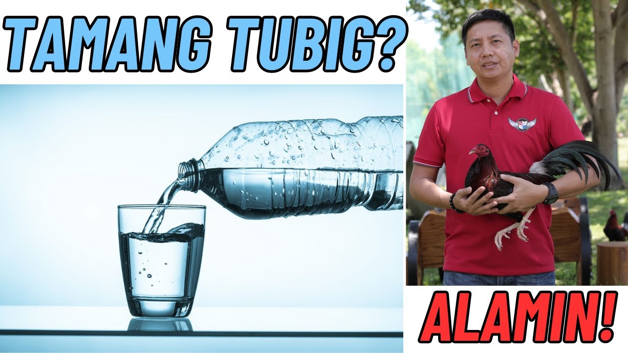 Tamang Pag Bigay Ng Tubig Sa Araw Ng Laban