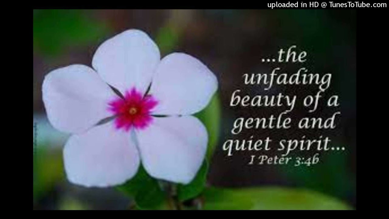 Of Gentle Spirit By William Owens