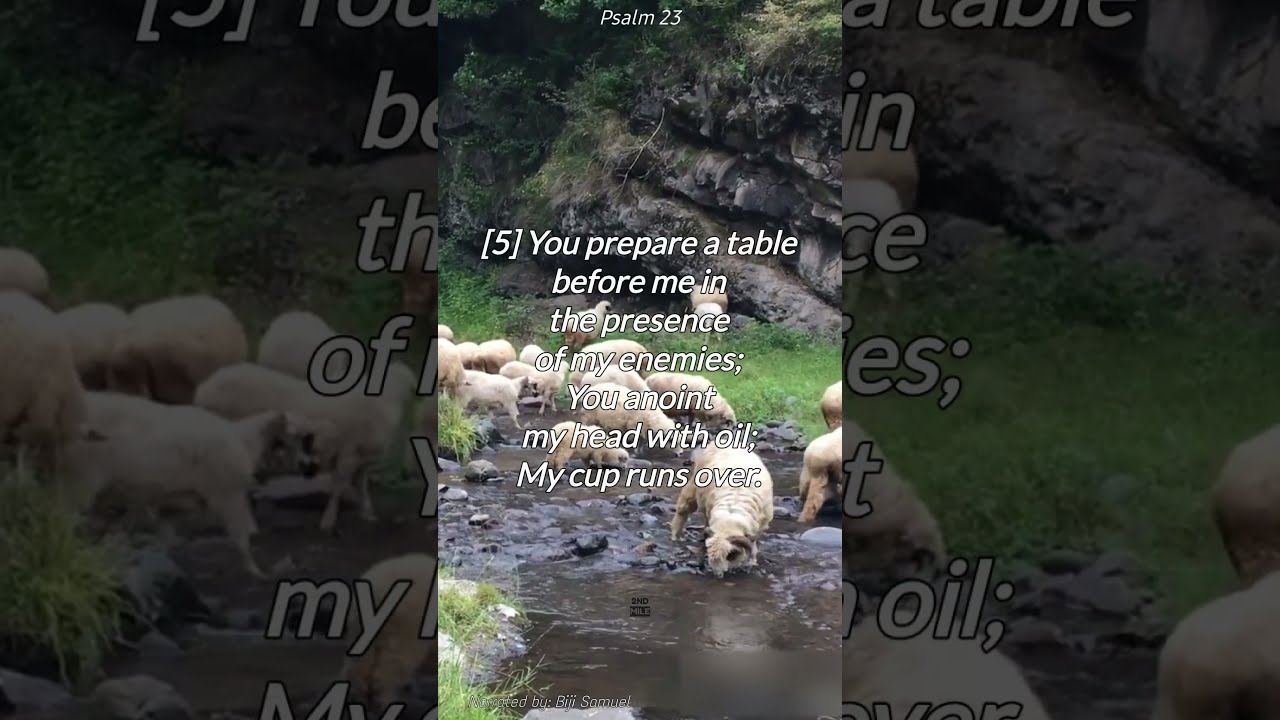 Psalm 23 - AudioBible - NKJV
