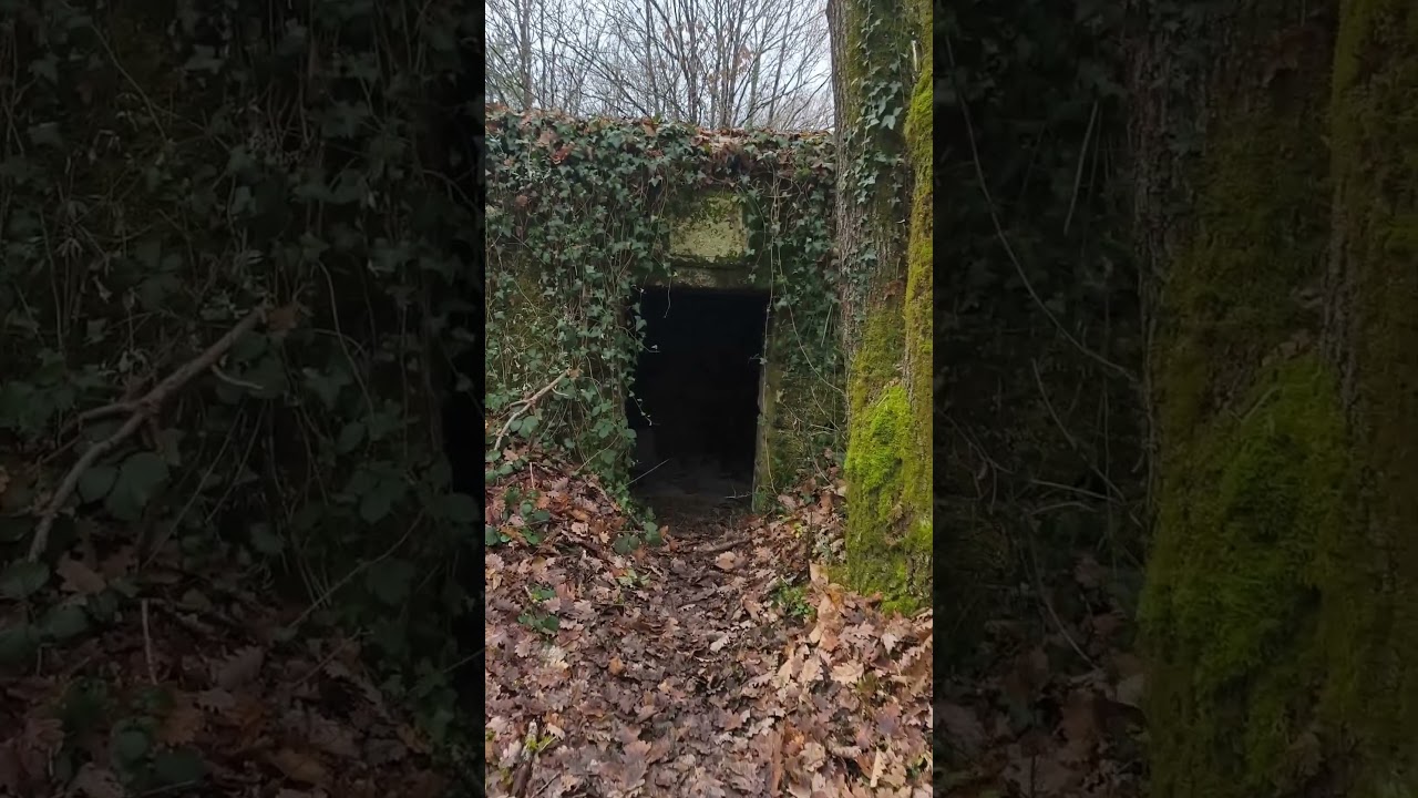 un bunker dans la forêt de Châtellerault 