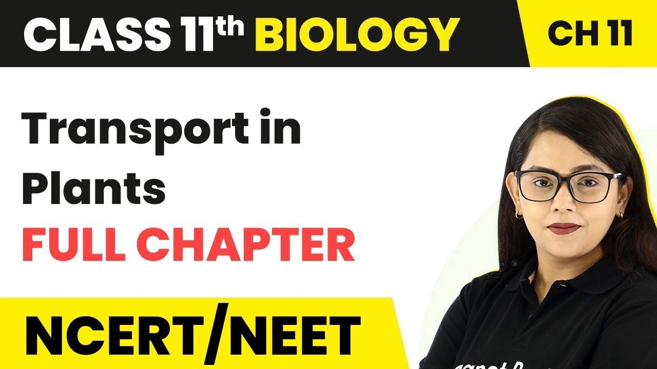 Transport in Plants - Full Chapter Explanation | Class 11 Biology Chapter 11