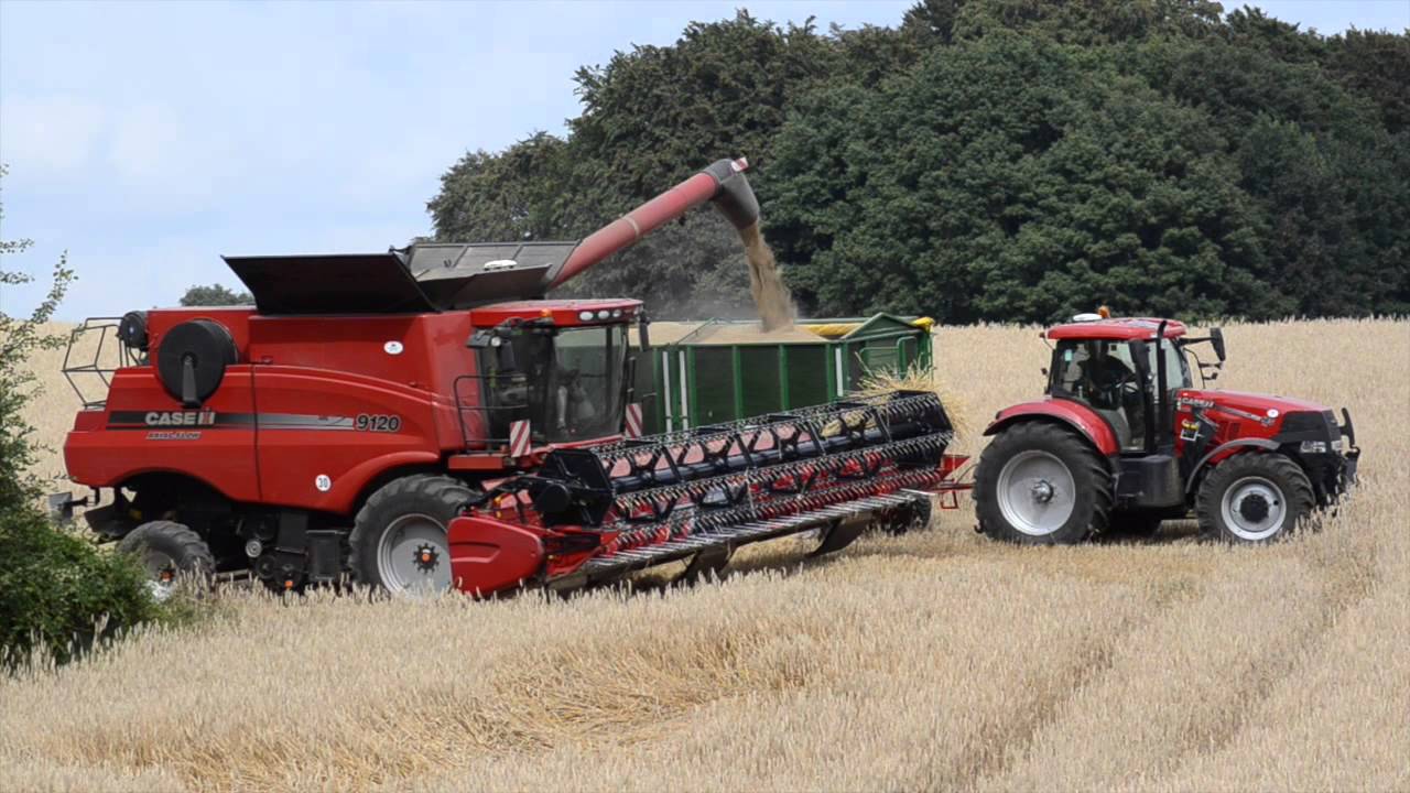 Roggen dreschen 2014 mit Case IH Axial Flow 9120 (Kurz video)