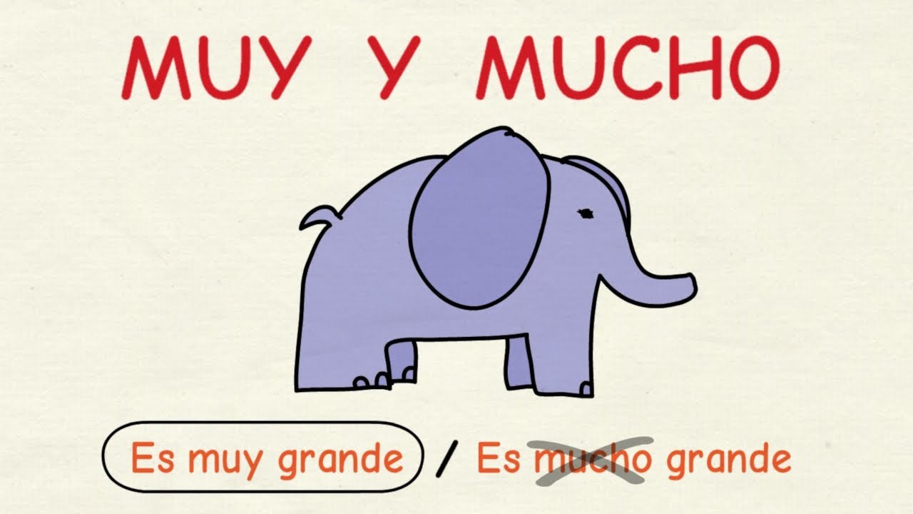 Aprender español: MUY, MUCHO y POCO (nivel básico)