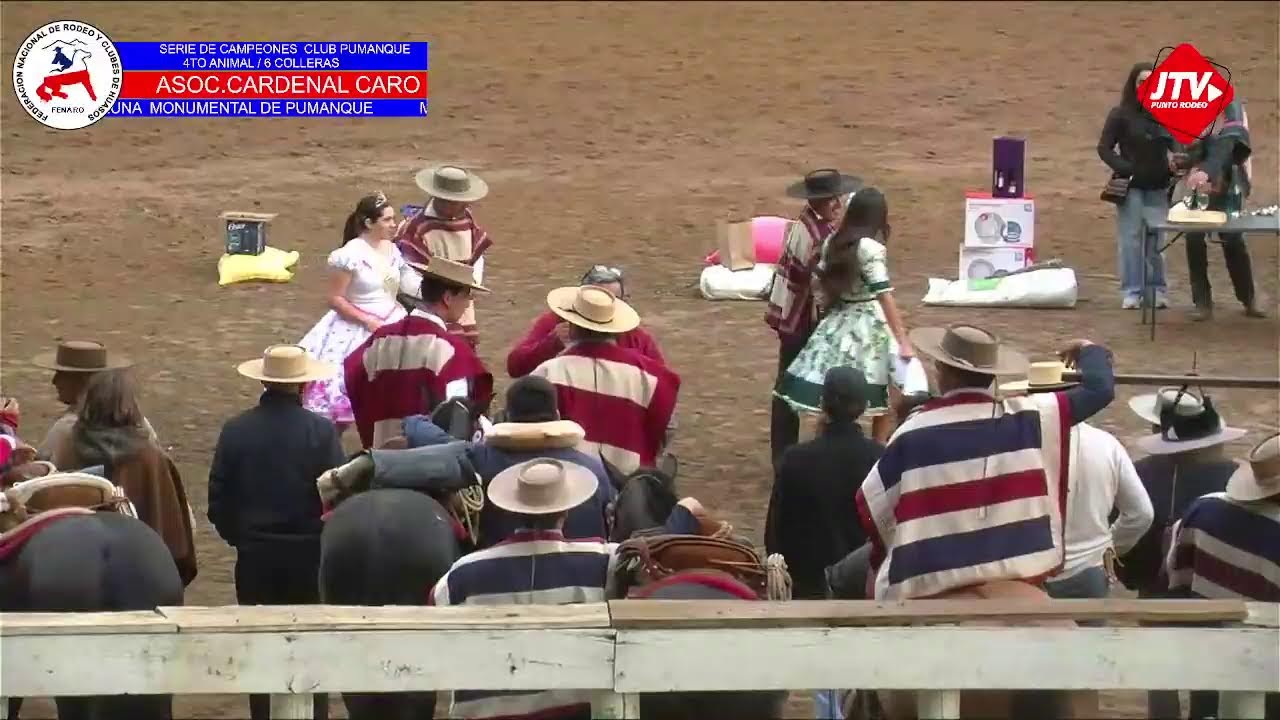 SERIE DE CAMPEONES  ASOC.CARDENAL CARO
