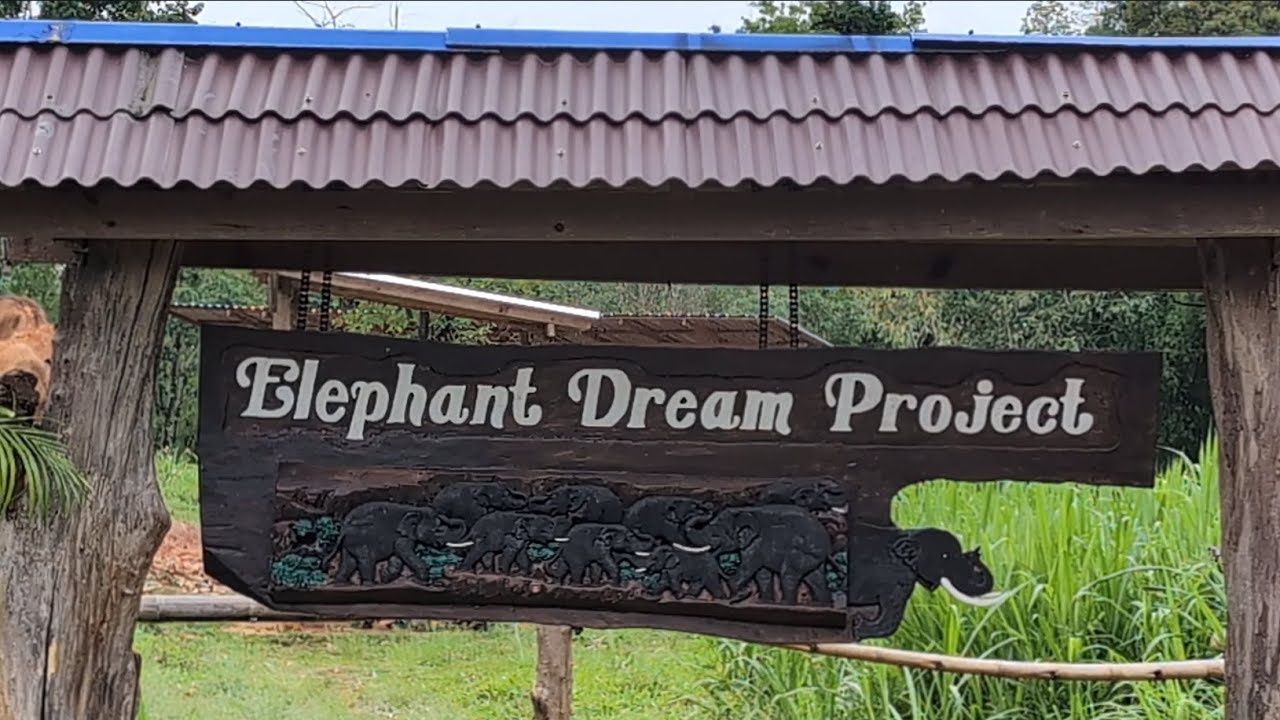 Elephant Dream Project 🐘 | Ethical Sanctuary in Chiang Mai Thailand