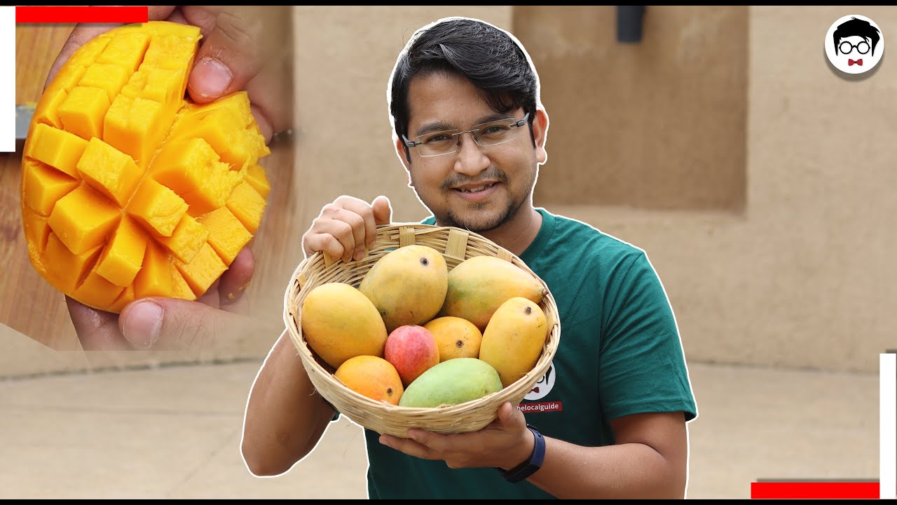 Trying Different varieties of Mangos in PUNE! | The local guide