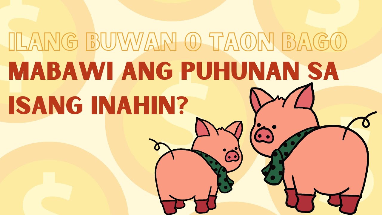 PIGGERY: ILAN NGA BANG BUWAN O TAON BAGO MABAWI ANG PUHUNAN SA ISANG INAHIN? ~ PIG FARMING