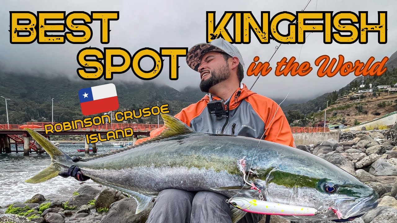 Crazy top water action 🇨🇱, the BEST spot in the WORLD for KINGFISH / HIRAMASA. Robinson Crusoe Chile