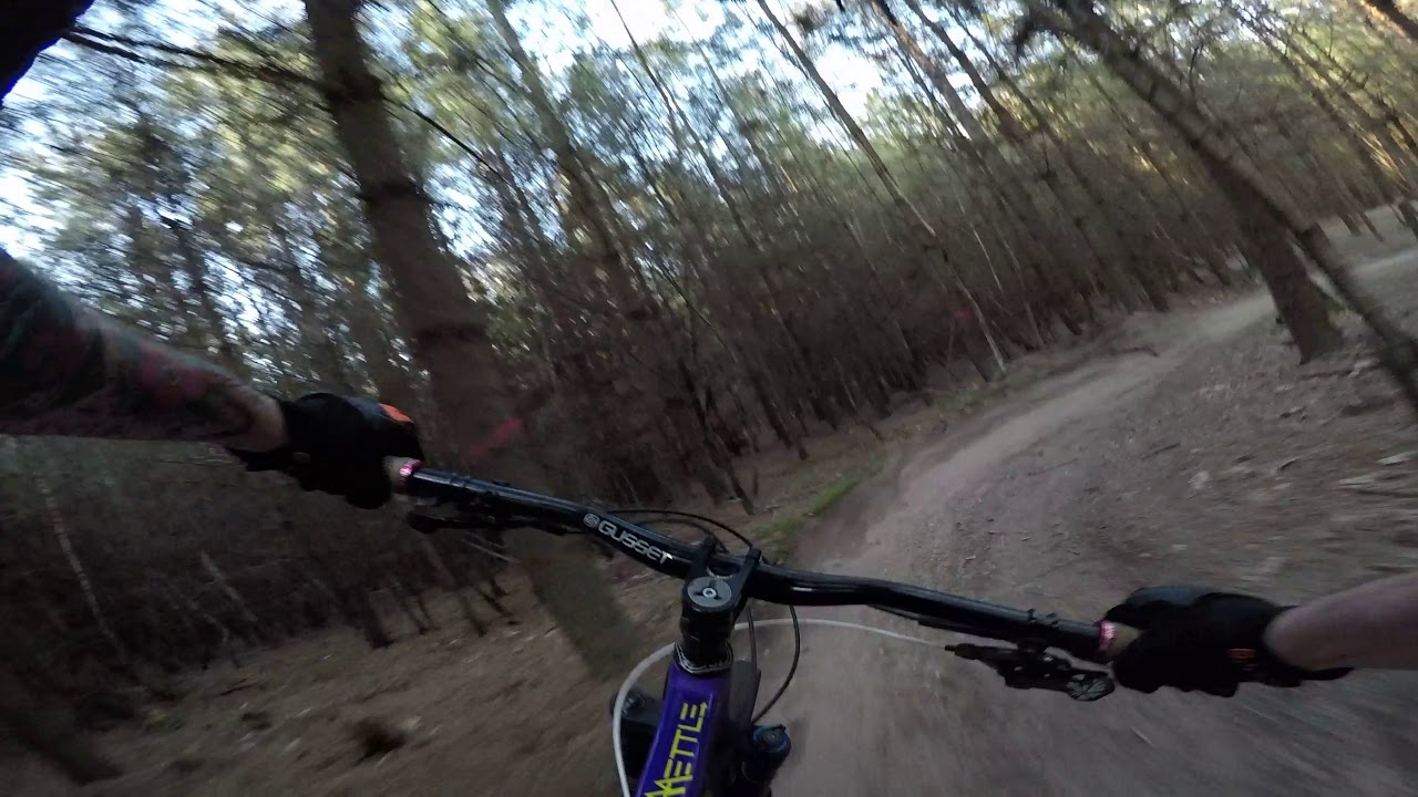 Identiti Mettle 2018 blast