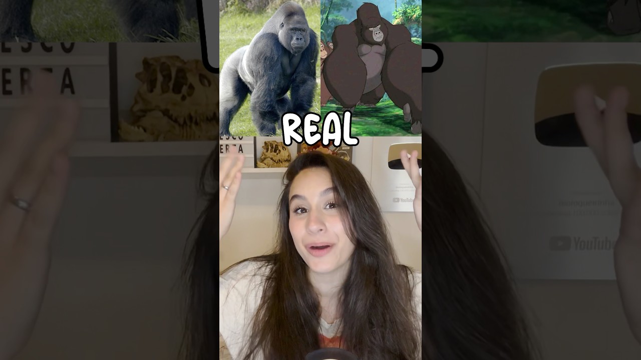 Como s&atilde;o os animais de Tarzan na vida real 🦍🐘