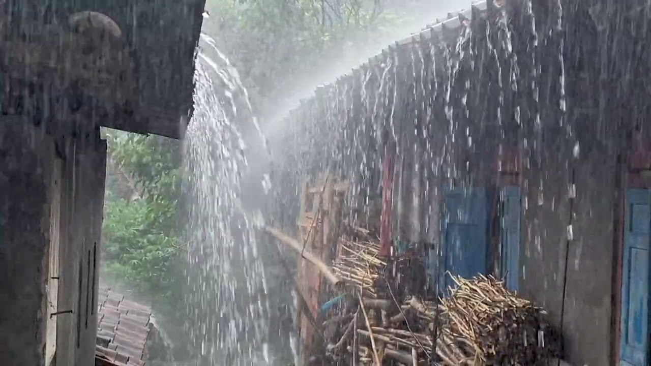 EXTREMELY HEAVY RAIN at Night 🌧️ Insane Storm Sounds for Deep Sleep & Relaxation