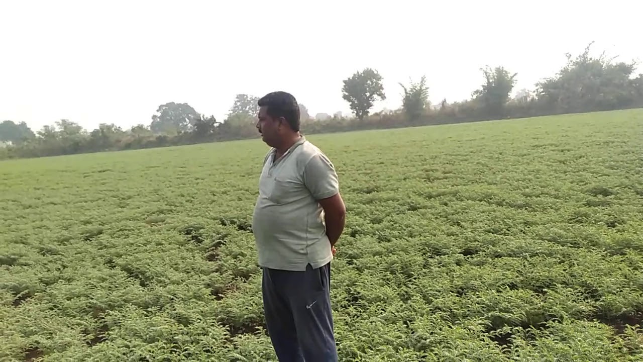 Shetkari upay