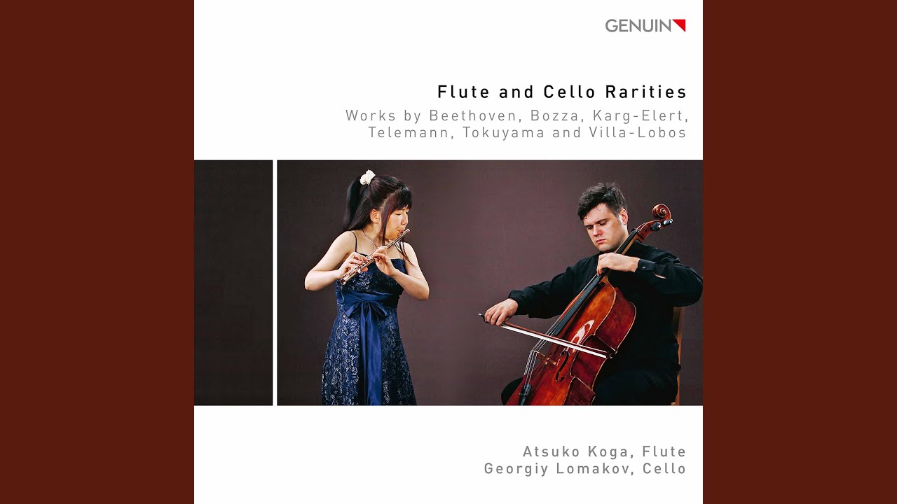 Atsumori for Solo Flute