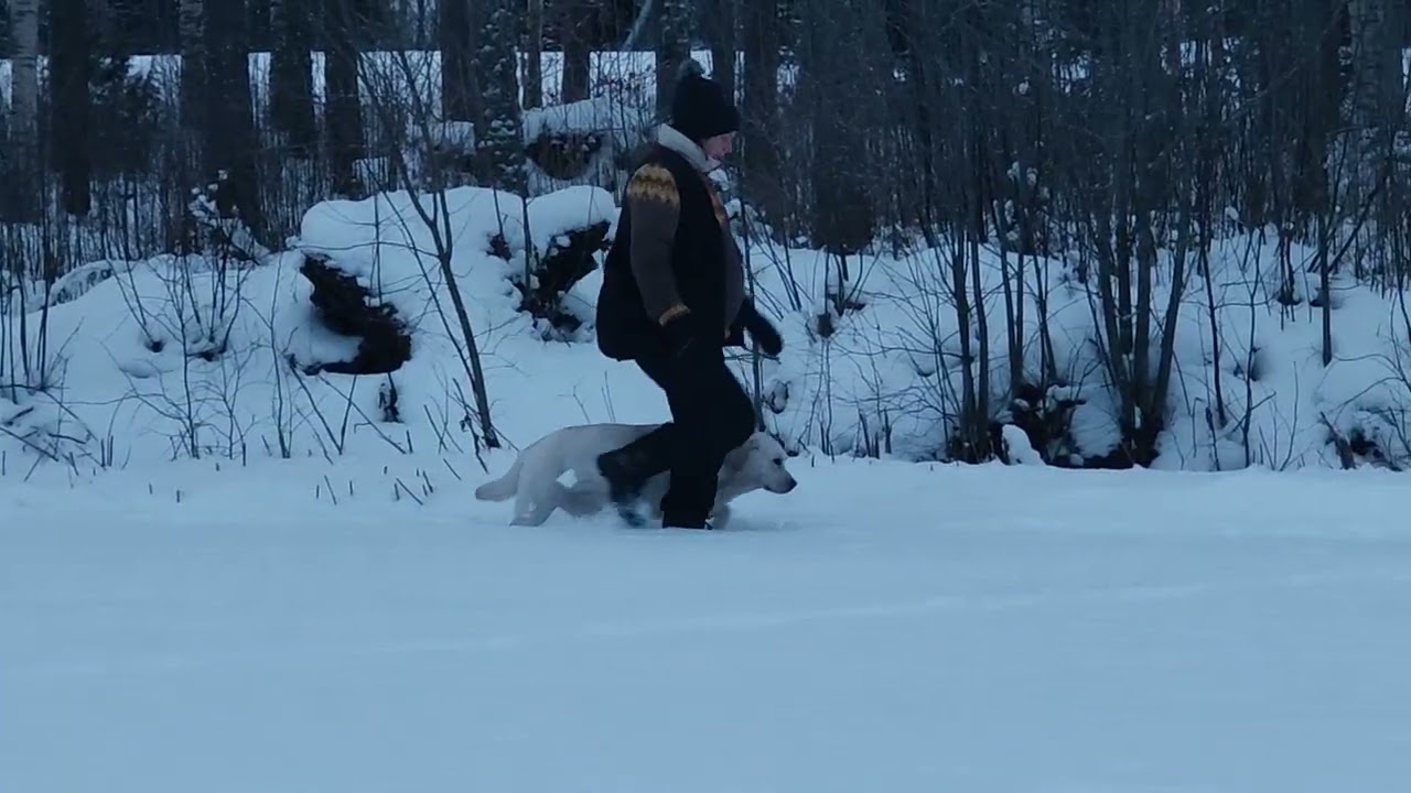 My Brand Dancing In The Rain /. VirtuaalneWT 2026 beginners class no.2