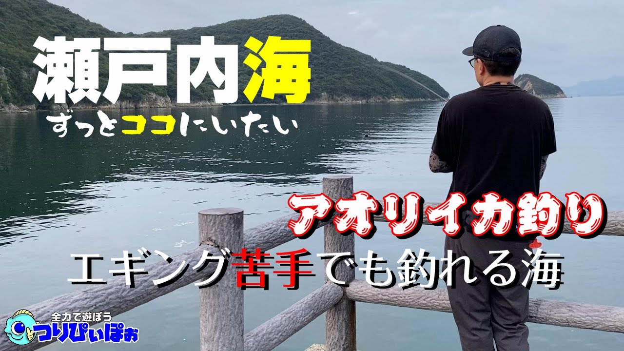 アオリイカのエギングが苦手でも釣れる海があった。瀬戸内海の釣り。
