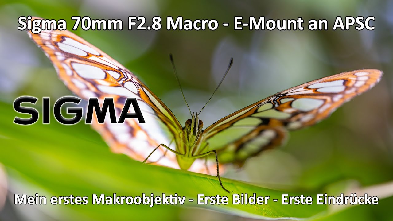 Sigma 70mm F2.8 Macro - Mein neues Makroobjektiv - Mein erster Eindruck - Meine Meinung