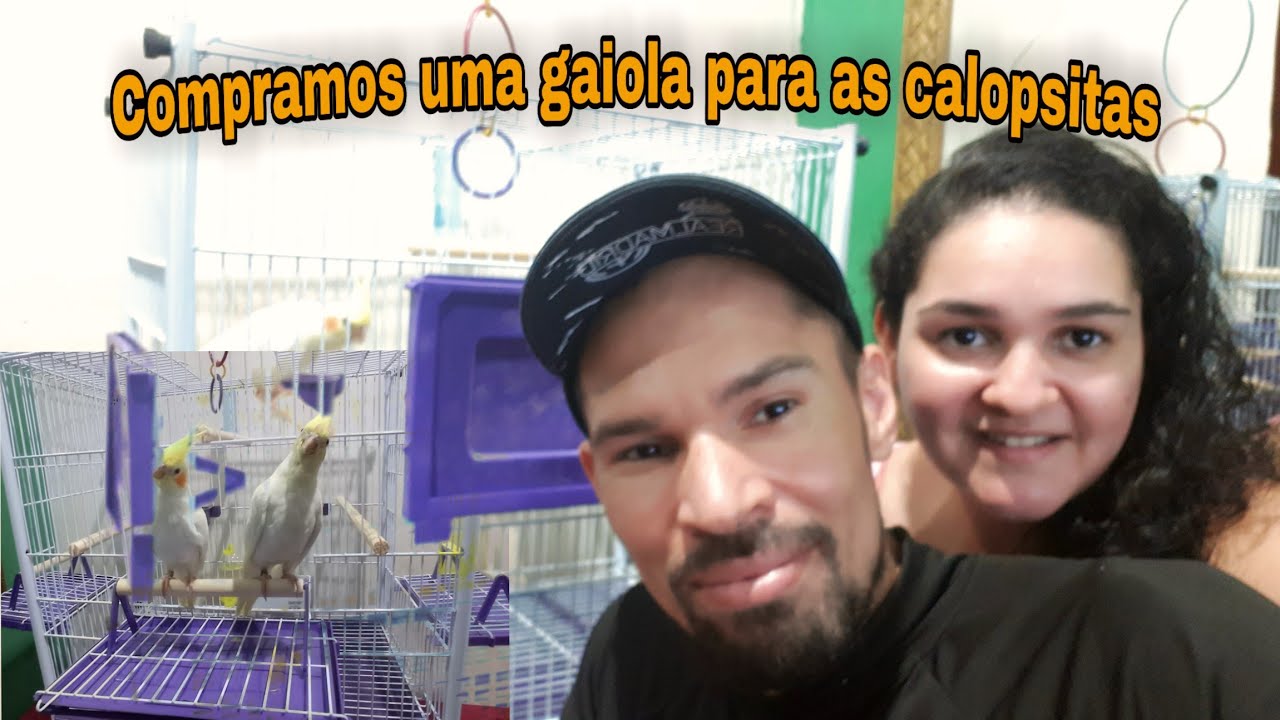 VLOG: Compramos a GAIOLA das nossas CALOPSITAS no mercado livre |Assista antes de comprar!!!