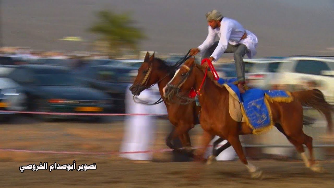 عرضة الخيل التقليدية بولاية الحمراء لعام 2019م