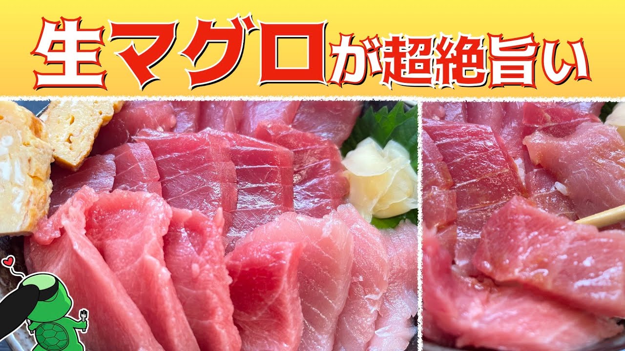 【グルメ】新鮮生マグロ丼で幸せいっぱい！【銚子】かっぱコレNo.530