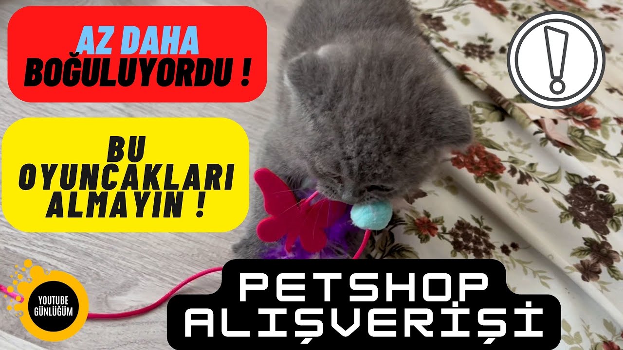 YAVRU KEDİ MİA İÇİN PETSHOP ALIŞVERİŞİ YAPTIK #vlog #yavrukedivideoları #yavrukedi #kedi