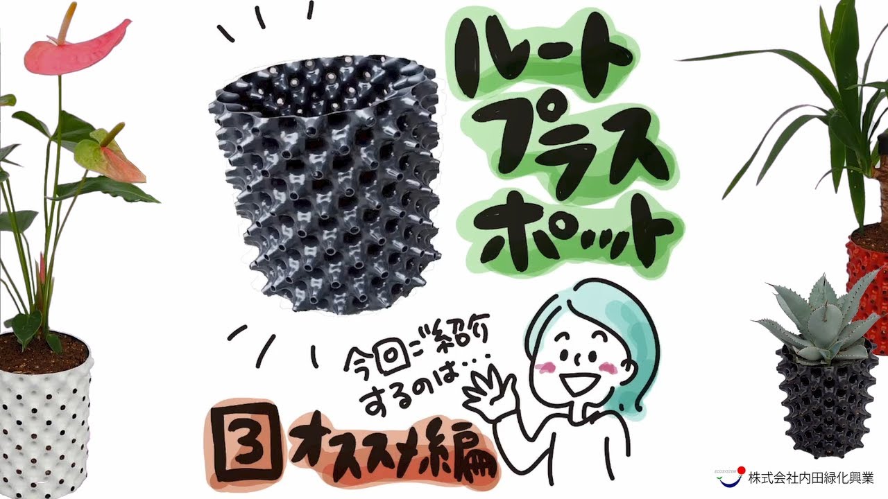 ルートプラスポット３『おすすめ編』