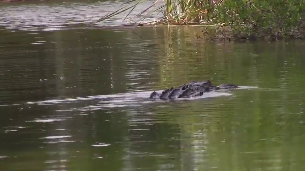 Hobie Pro Angler 14 Kayaking Vlog 18