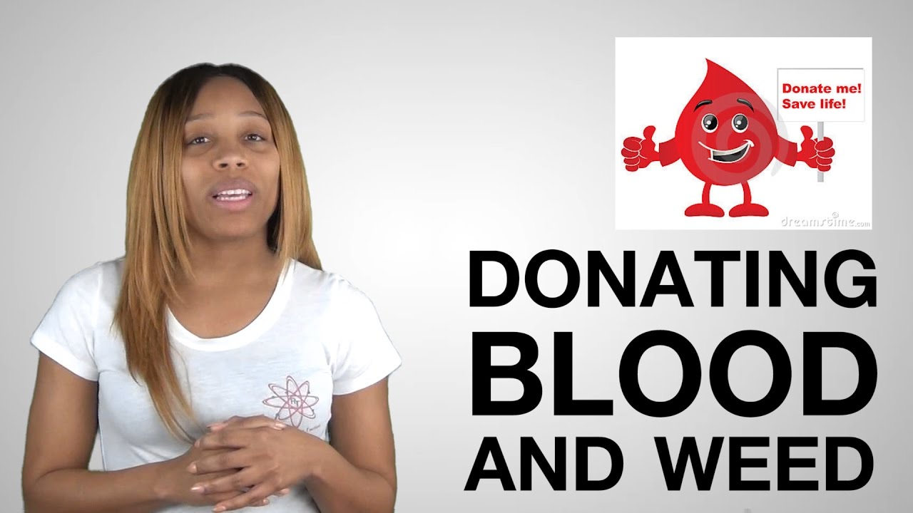 Video 8: Can you donate blood if you smoke weed?