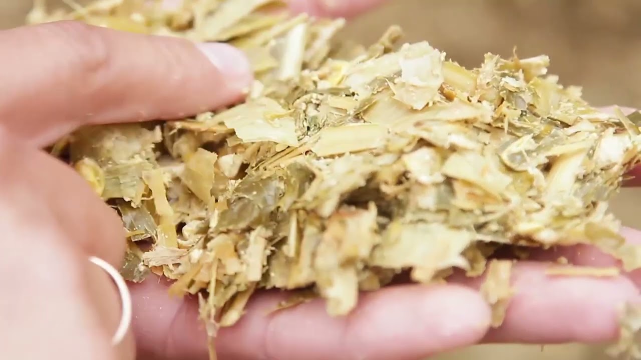 KRONE BiG X 1180 - лидер в кормозаготовке!
