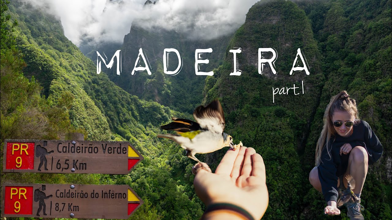 Ostrov věčného jara - vlog | part.1 #madeira