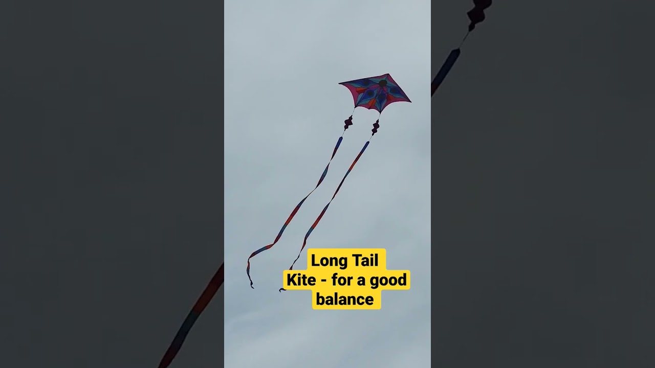 Long Tail Kite #shorts #kite #kiteflying #kites #kitefestival #kitelover