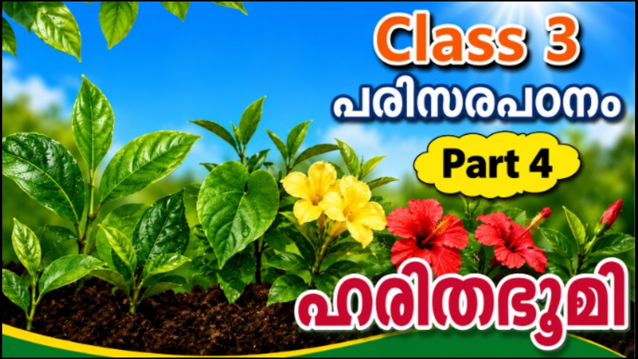 Class 3 EVS Chapter 1 ഹരിതഭൂമി പരിസരപഠനം Harithabhoomi Part 4 സസ്യങ്ങളുടെ പ്രയോജനം STUDY CORNER