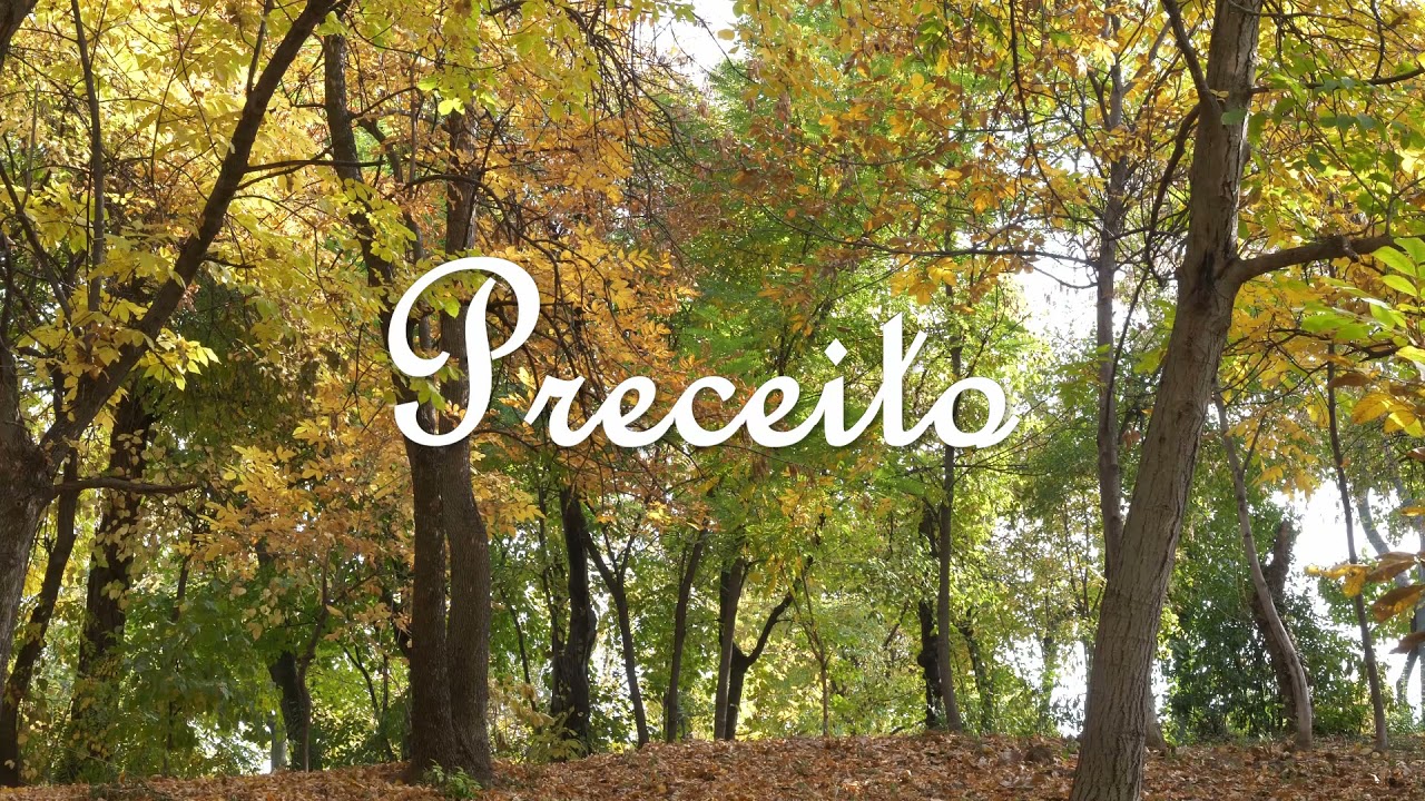 Preceito - Pontos de Umbanda